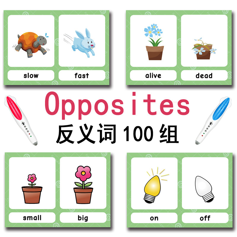 The 100 Groups Opposites Flash - огляд і ціна Kids Toys And Games