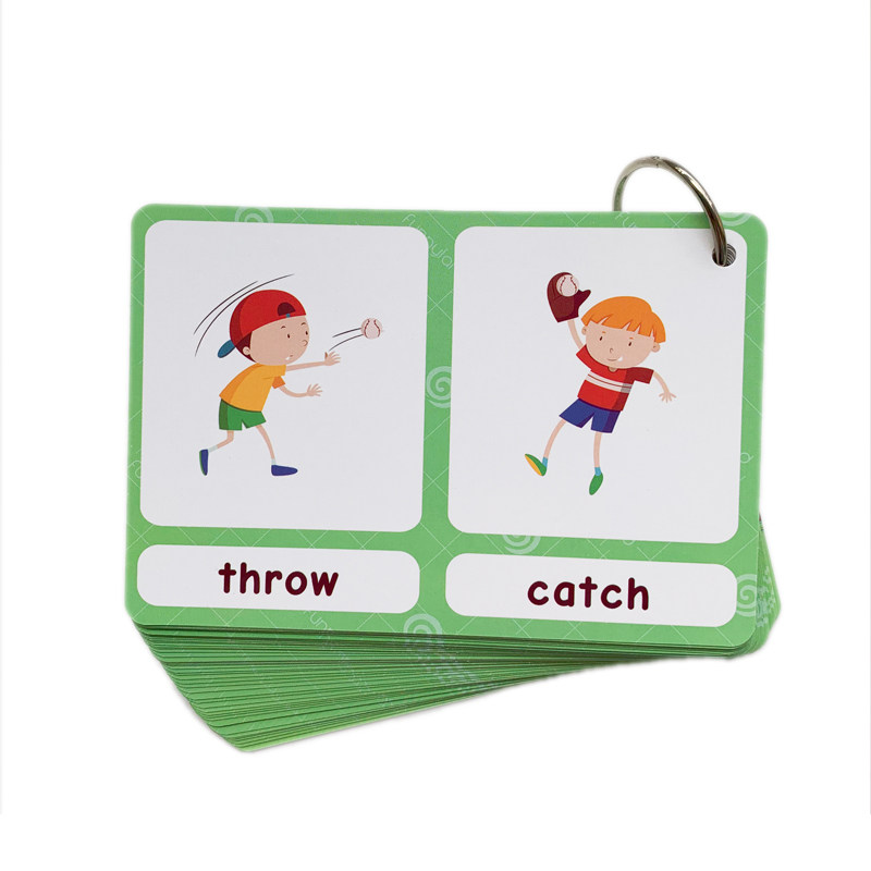 The 100 Groups Opposites Flash - огляд і ціна Kids Toys And Games