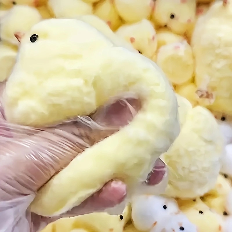 1Pc Yellow Chick Squishy Squee - огляд і ціна Kids Toys Entertainer